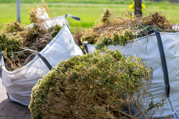 Best Furniture Removal  in Barre, VT
